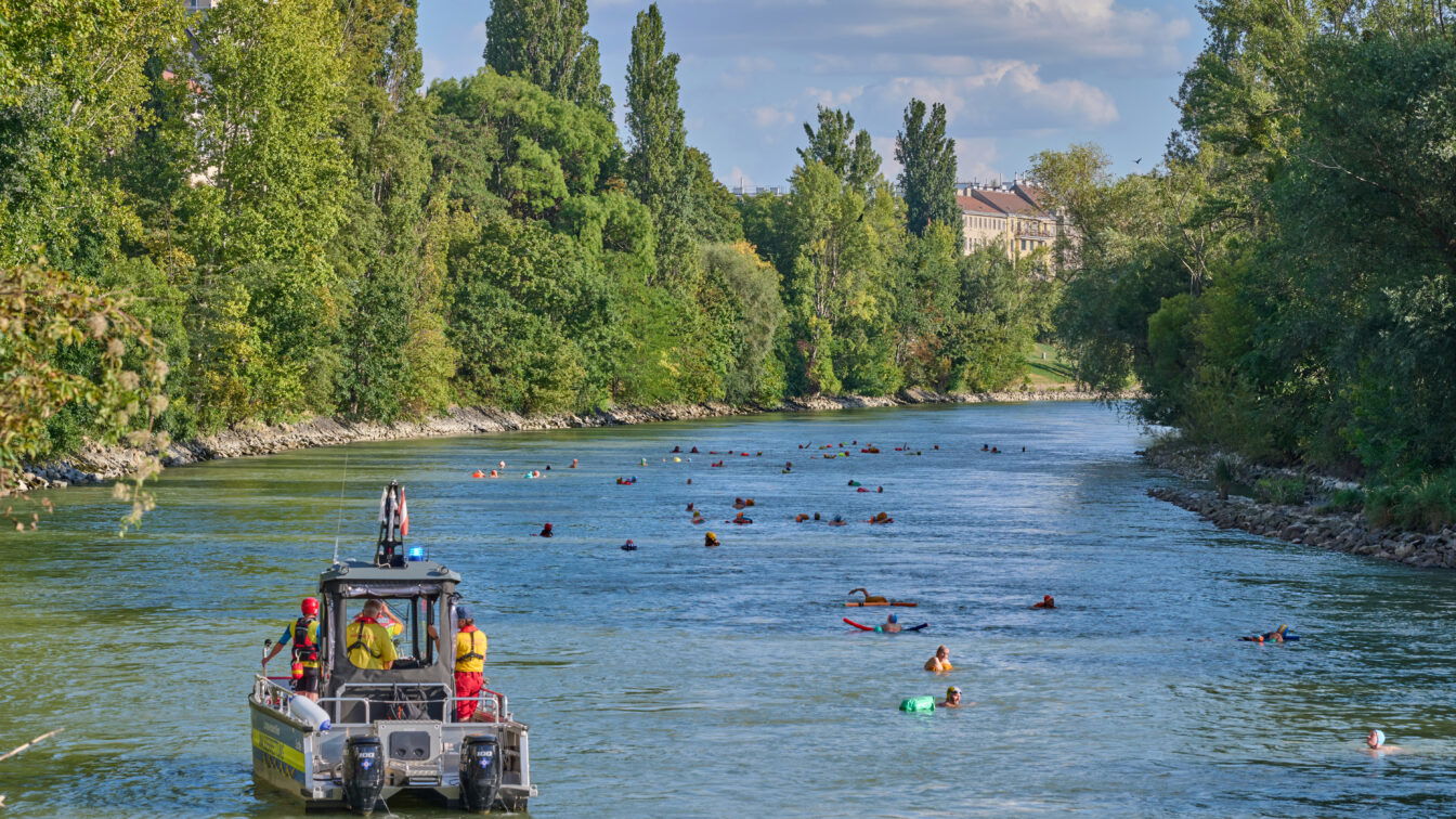 Schwimmverein Donaukanal | C. Mavric Schwimmparade: Menschen schwimmen im Donaukanal