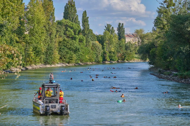 Schwimmverein Donaukanal | C. Mavric Schwimmparade: Menschen schwimmen im Donaukanal