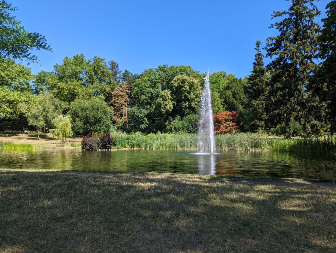Blick auf den sommerlichen Teich mit Springbrunnen und Bäumen rundherum im Türkenschanzpark in Wien