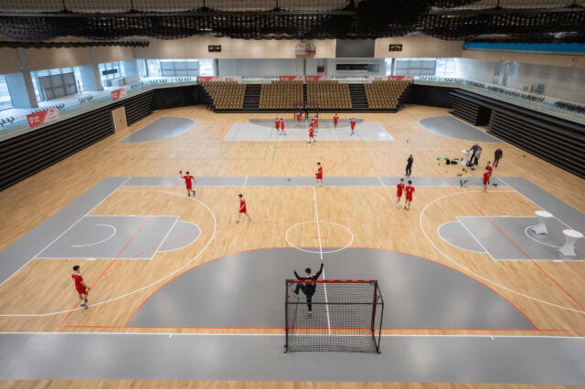 Ein Testmatch in der Sport Arena Wien.