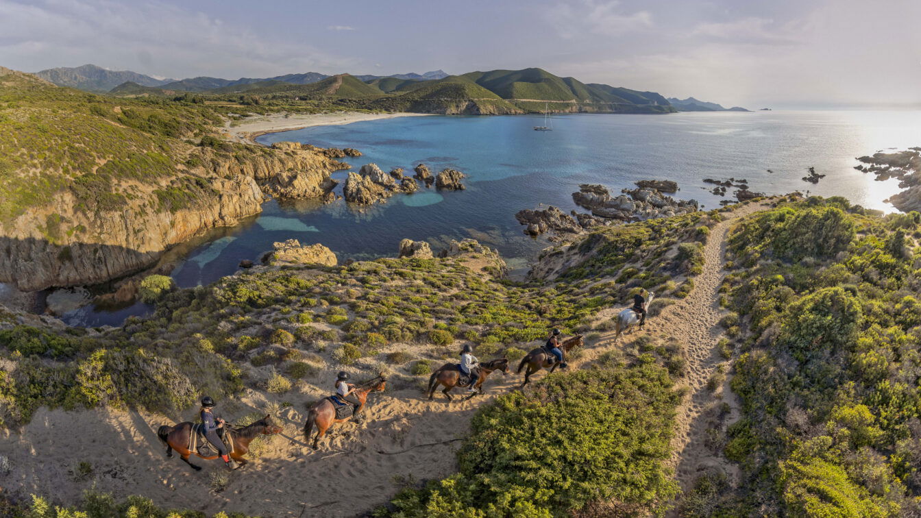 Chevaux Plage de L'Ostriconi auf Korsika