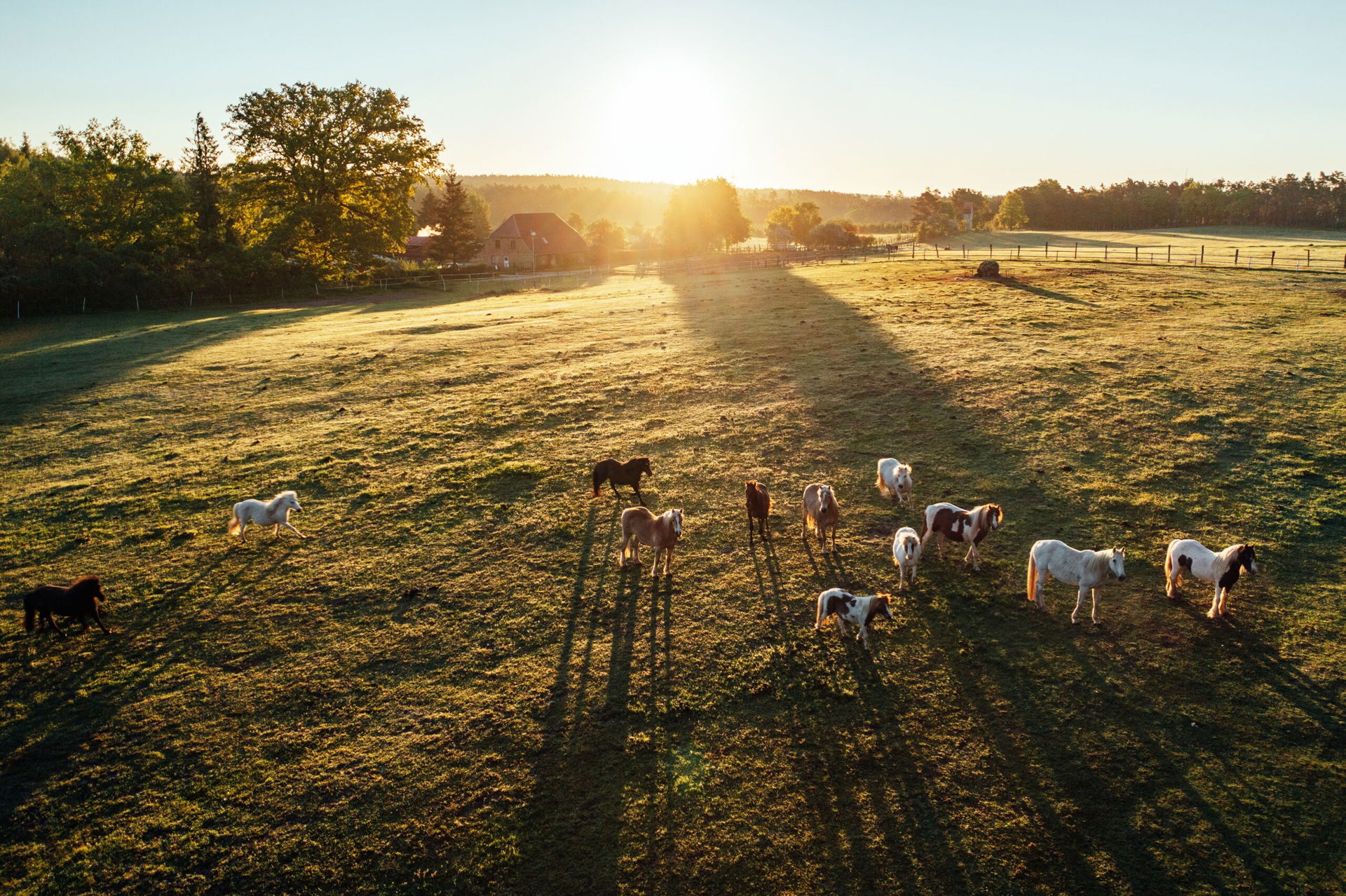 Luftbild vom Waldhof Bruchmühle mit Pferden bei Sonneaufgang