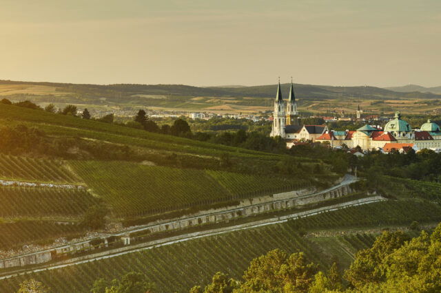 Stift Klosterneuburg, Wienerwald