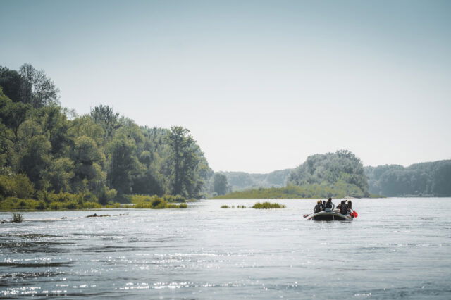 Bootstour im Nationalpark Donau-Auen in der Nähe von Wien