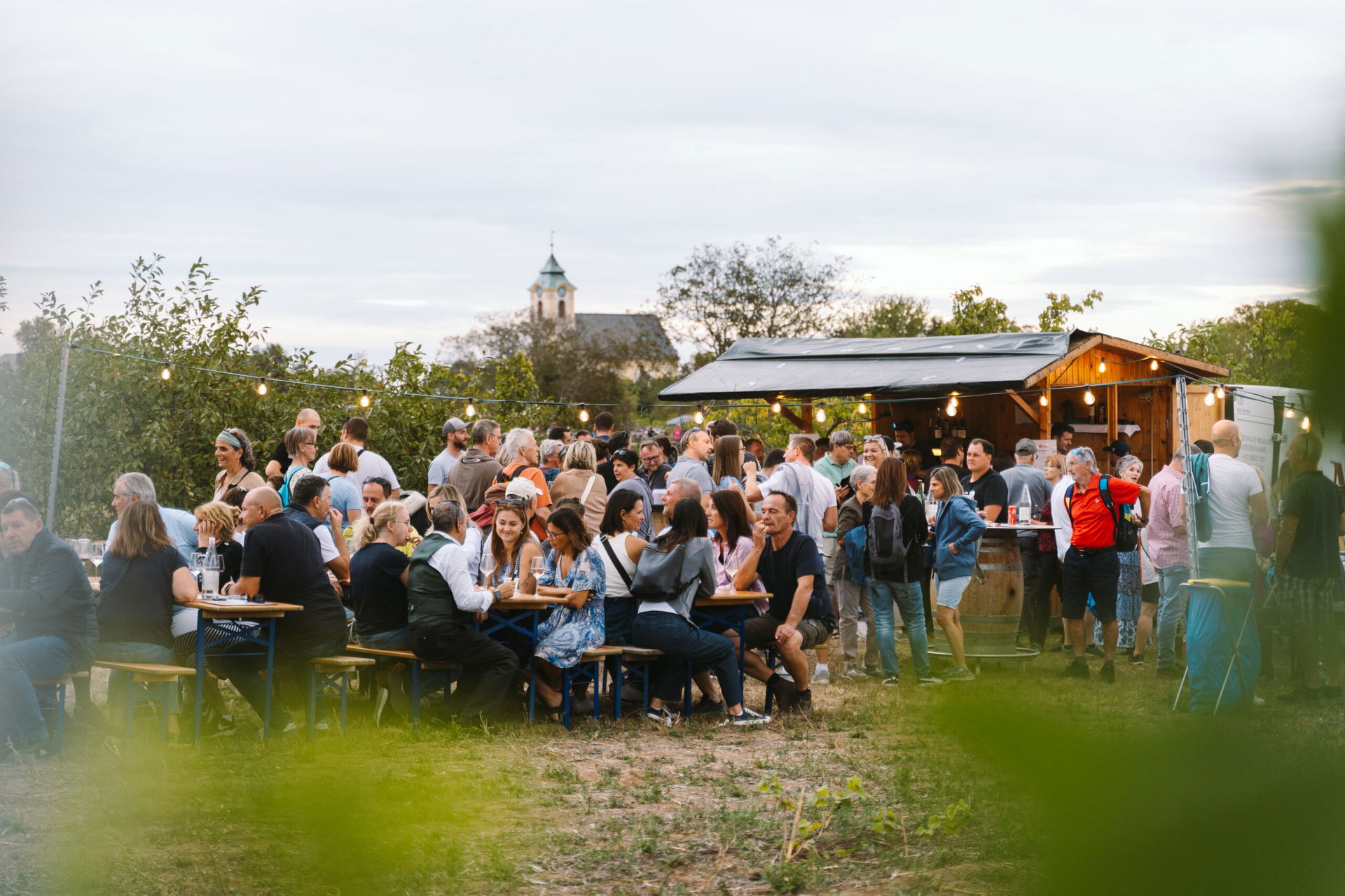 Menschen bei einem Weinfest im Freien (c) Tourismusverband Nordburgenland | Factory16 | Thomas Schrempf