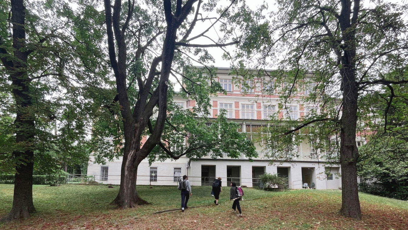 (c) Nicolai Benker Kollektiv Kaorle das Pavillon 21 am Otto Wagner Areal in Wien