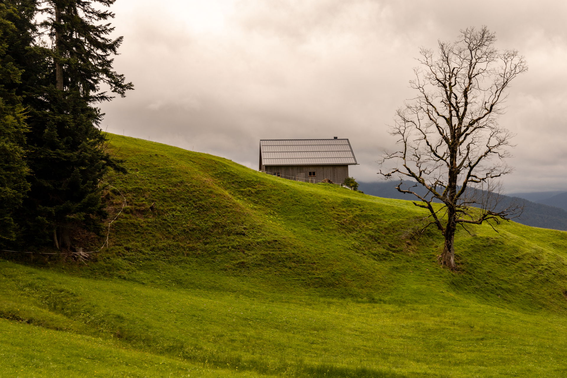 Vorarlberg Hütte (c) Sonja Koller | 1000things