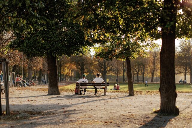 Augarten im Herbst in Wien, 1020
