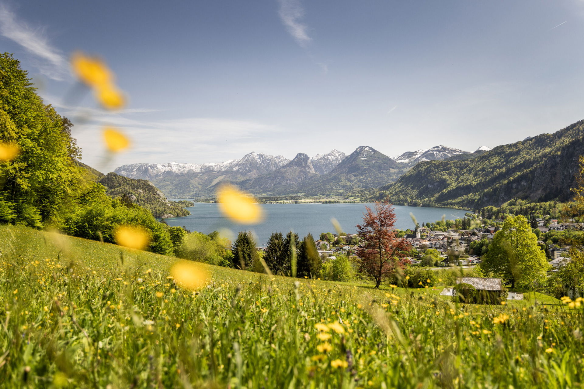 Blick auf St. Gilgen am Wolfgangsee
