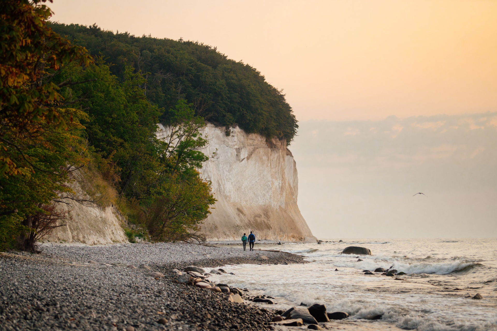 Ein Paar spaziert an der Kreideküste auf der Insel Rügen bei Sonnenaufgang.