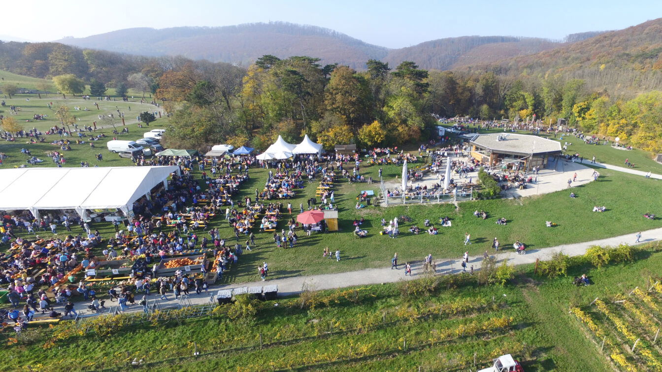 DCIM100MEDIADJI_0125.JPG Panorama-Bild vom Kürbisfest am Himmel in Wien - Zelt mit vielen kleinen Menschen auf einer großen Wiese