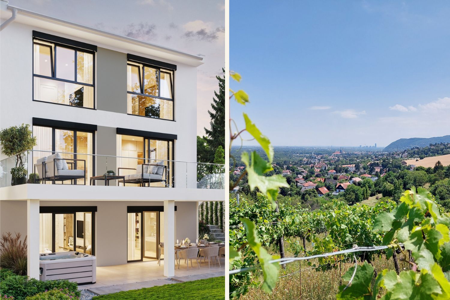 Links: Haus Rendering von Glorit in Klosterneuburg, Rechts: Weinreben im Sonnenuntergang