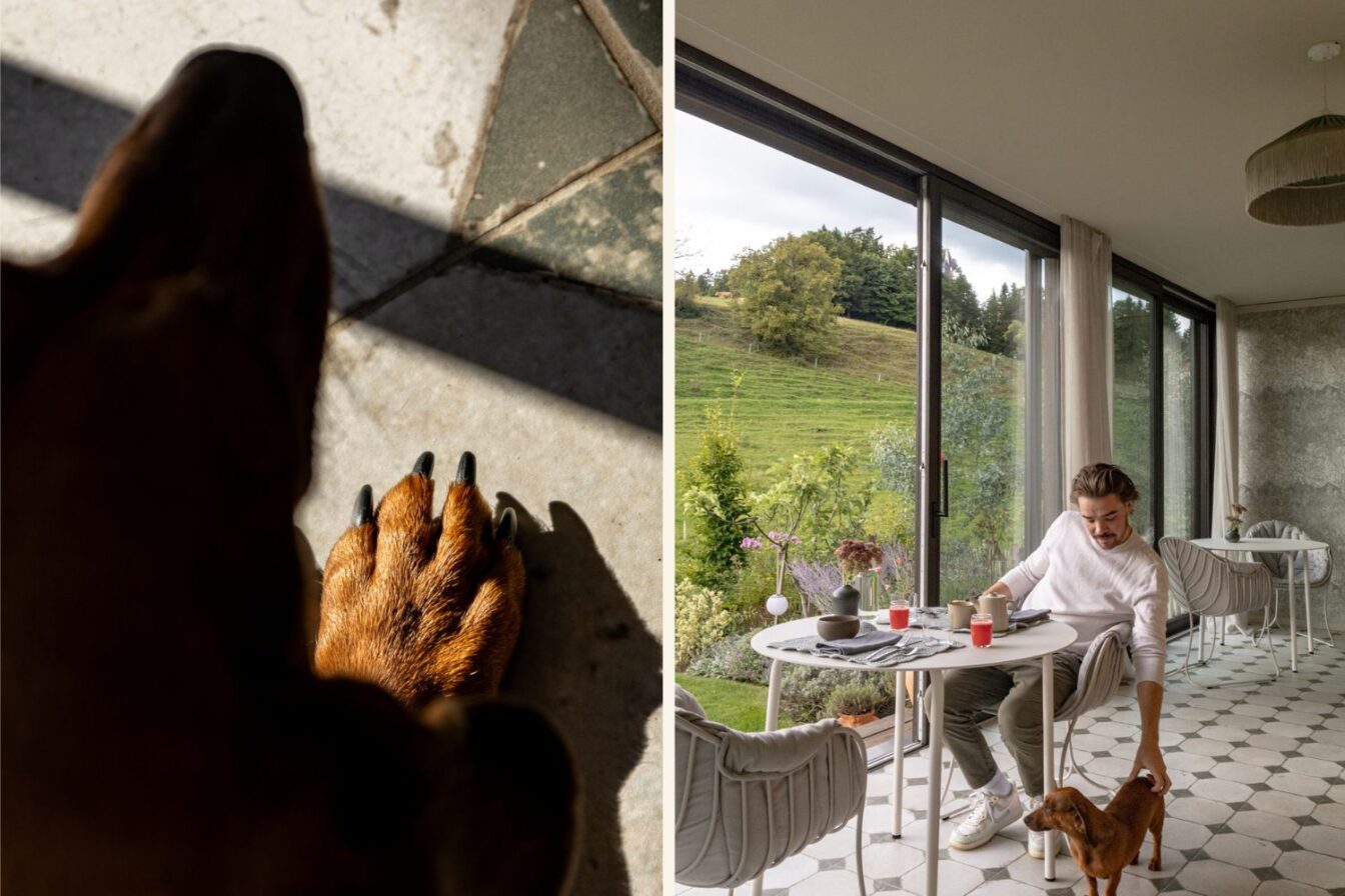 Hundepfote im Sonnenlicht und daneben eine Szene im Essbereich des Old School Guesthouse, wo ein Gast den Hund streichelt.