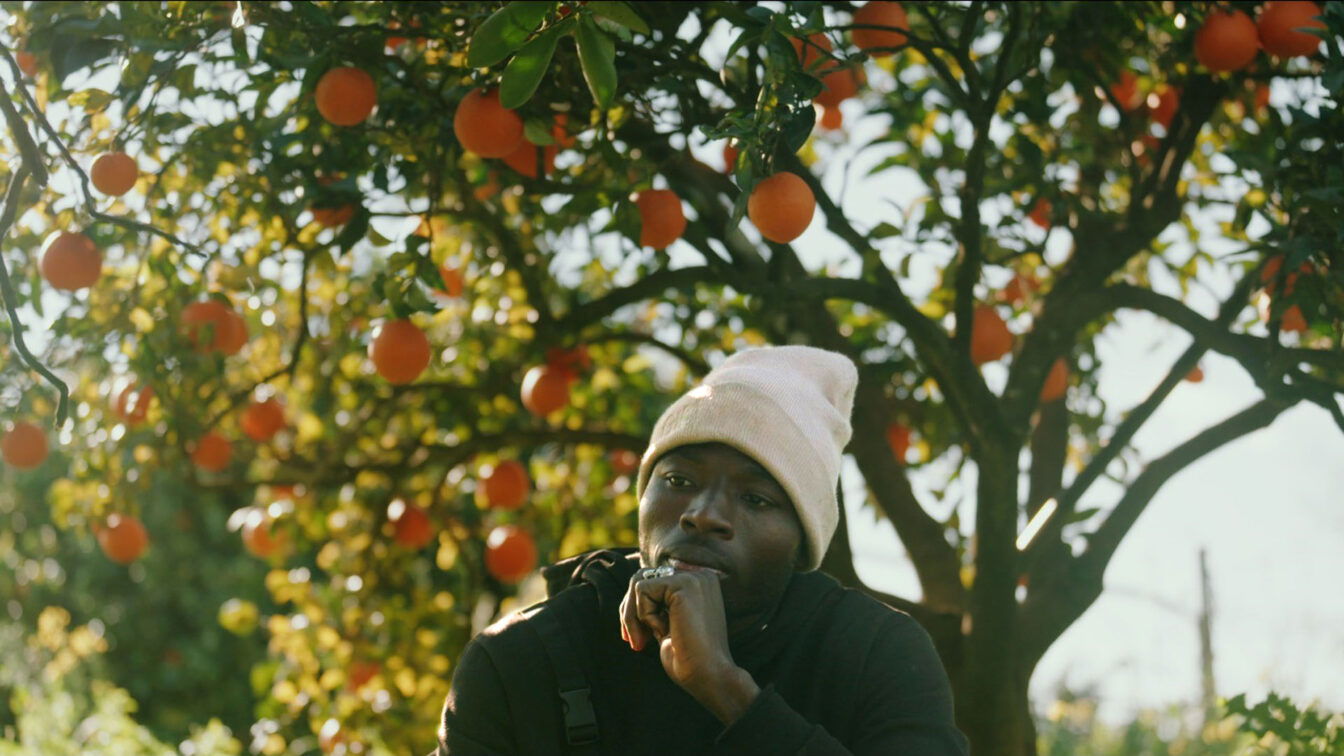 (c) Marcus Zahn | Berlin Producers Ein Filmstill aus dem Programm von Hunger.Macht.Profite., das einen Mann vor einem Orangenbaum zeigt.