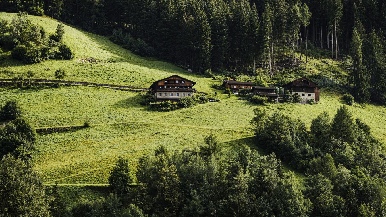 (c) Drumlerhof