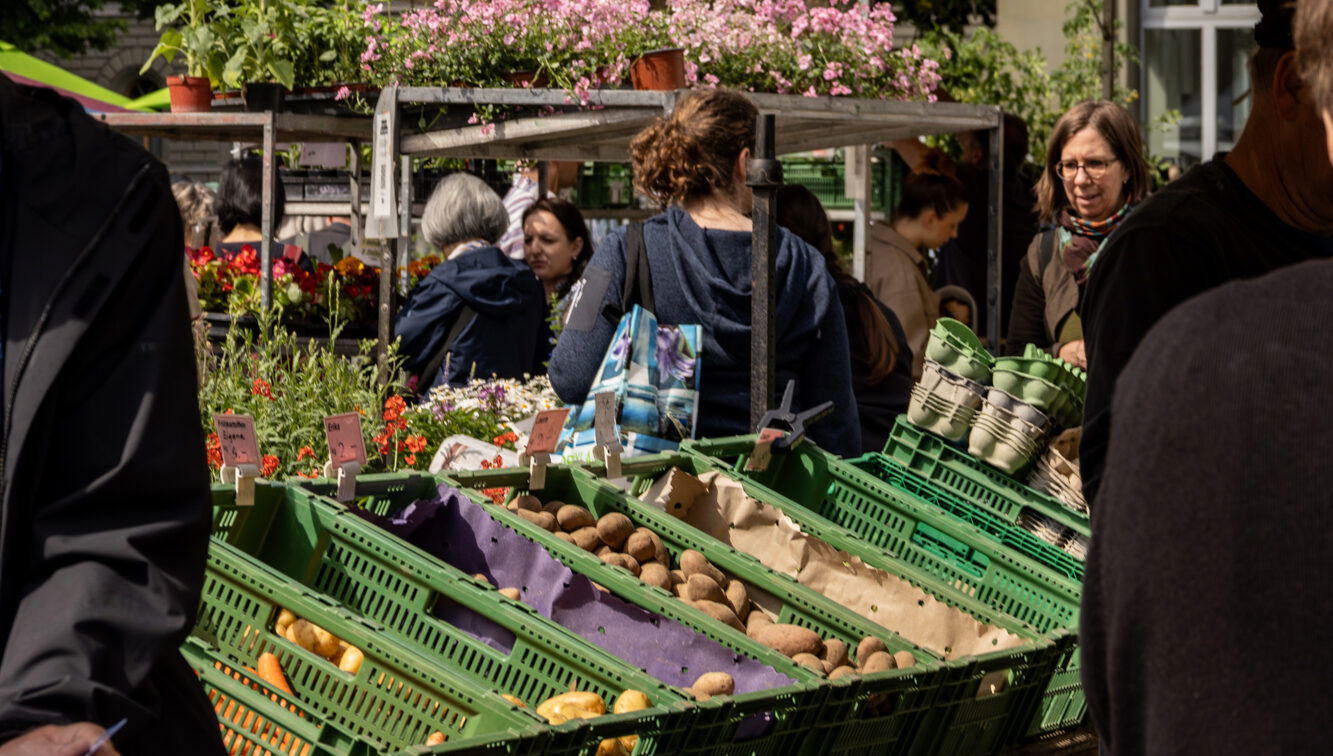 Ein belebter Wochenmarkt mit grünen Gemüsekisten voller Kartoffeln und anderem Gemüse im Vordergrund. Im Hintergrund stehen Menschen an Ständen mit bunten Blumen und Pflanzen unter weißen Marktzelten.