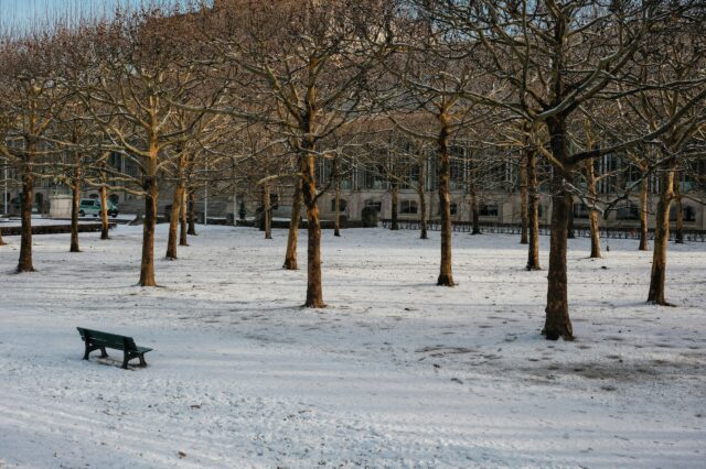 Winter in München im Hofgarten