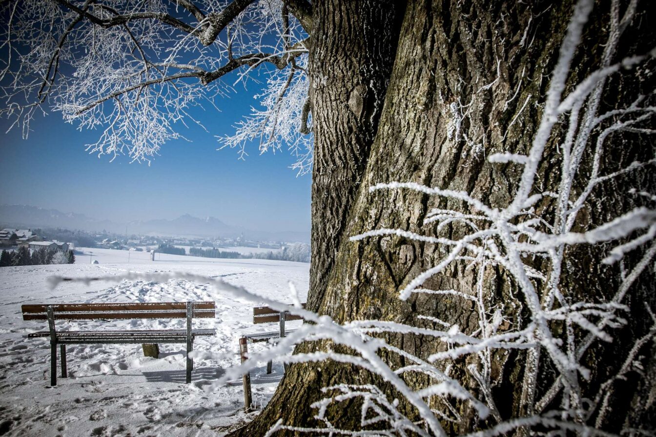 Fotoausstellung „Die Magie der kalten Jahreszeit“ im Heimatwerk Salzburg 2025