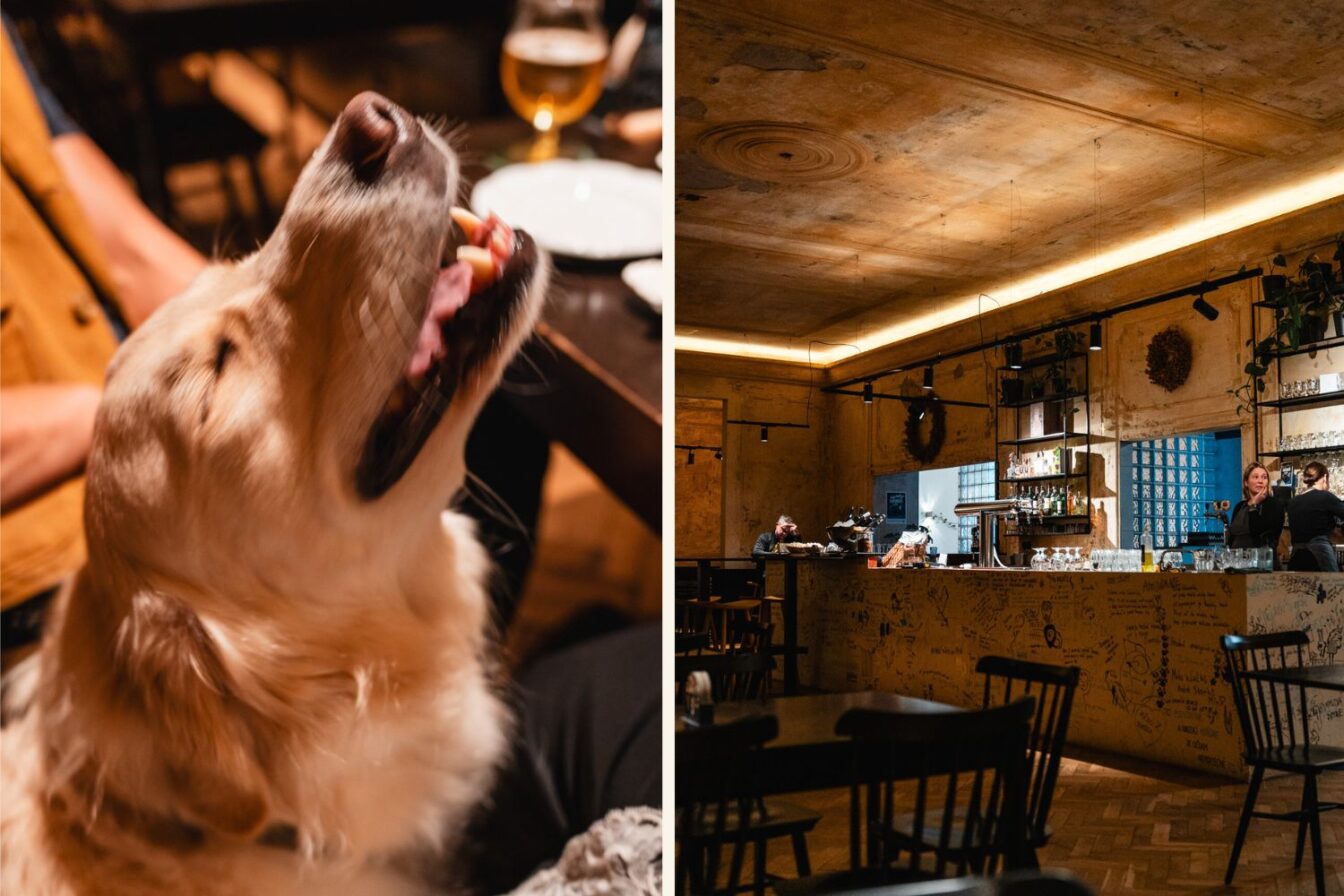 Severka Restaurant Details