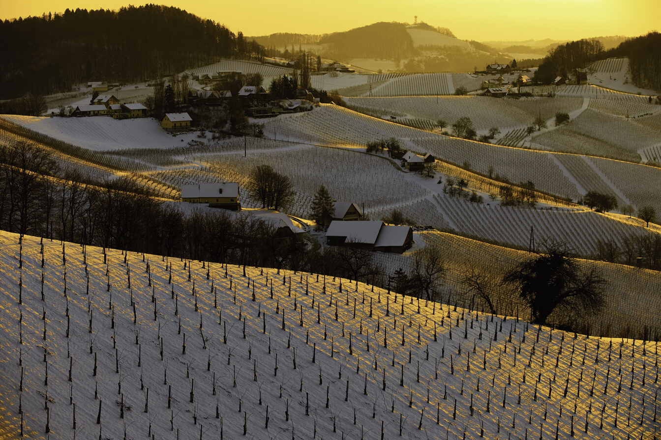 Südsteirische Weinstraße im Winter