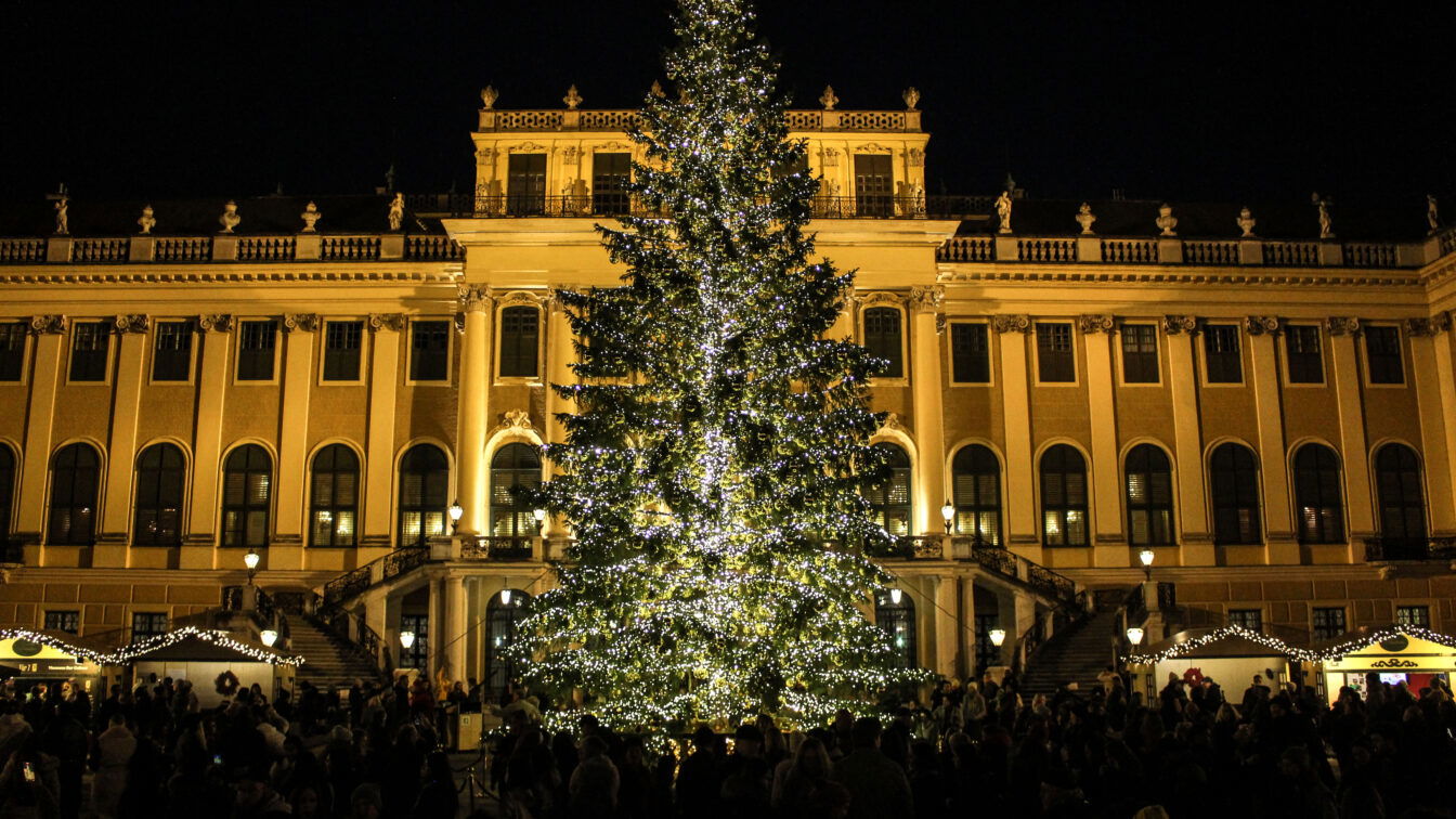 Der Weihnachtsbaum beim Christkindlmarkt am Schloss Schönbrunn