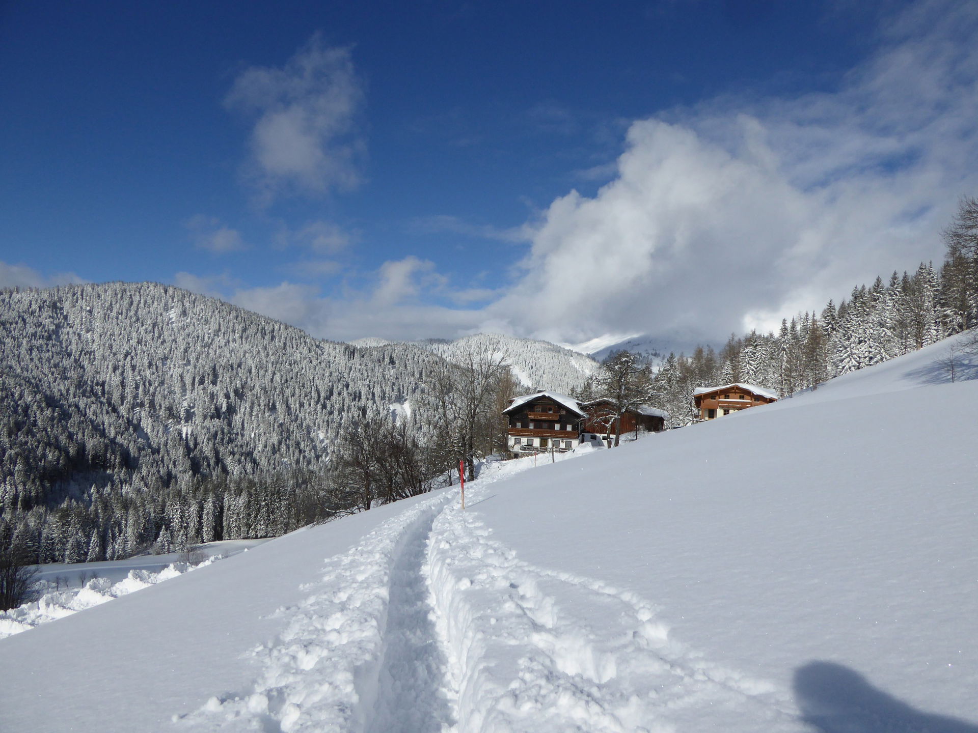 Auf dem Bild sieht man einen verschneiten Winterwanderweg, der durch eine weiße Landschaft mit tief verschneiten Bäumen führt, vorbei an einigen Holzhäusern vor dem Hintergrund bewaldeter Berghänge.