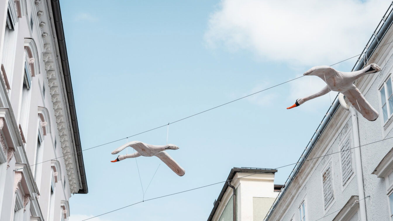 Schwäne über Gmunden, Kunstinstallation