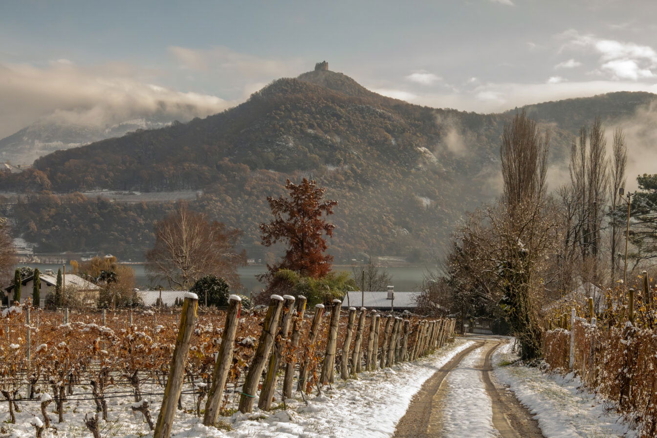 Verschneiter Weg durch Weinberge, dahinter ein Hügel mit einer Ruine auf dem Gipfel und winterlich gefärbtem Wald; im Hintergrund teilweise nebelverhangener Kalterer See.