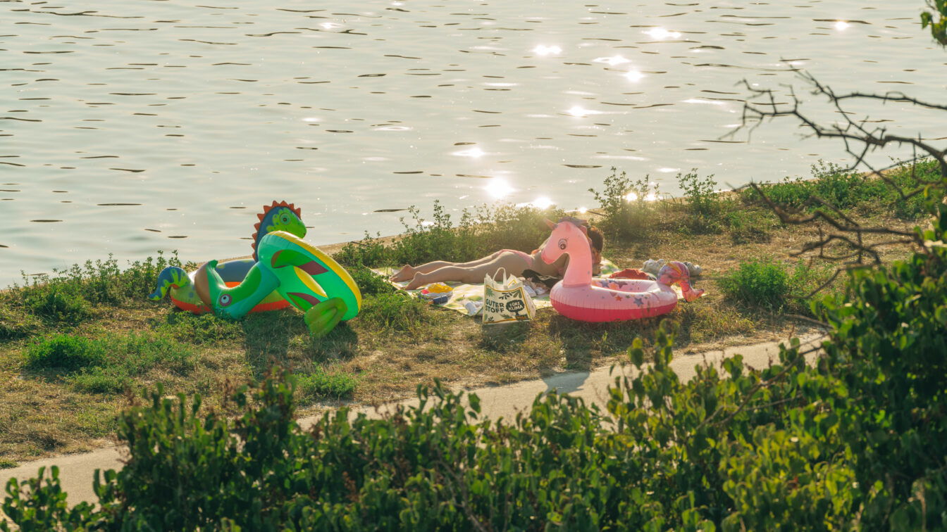 Ausstellungen Wien Museum 2026: Donauinsel