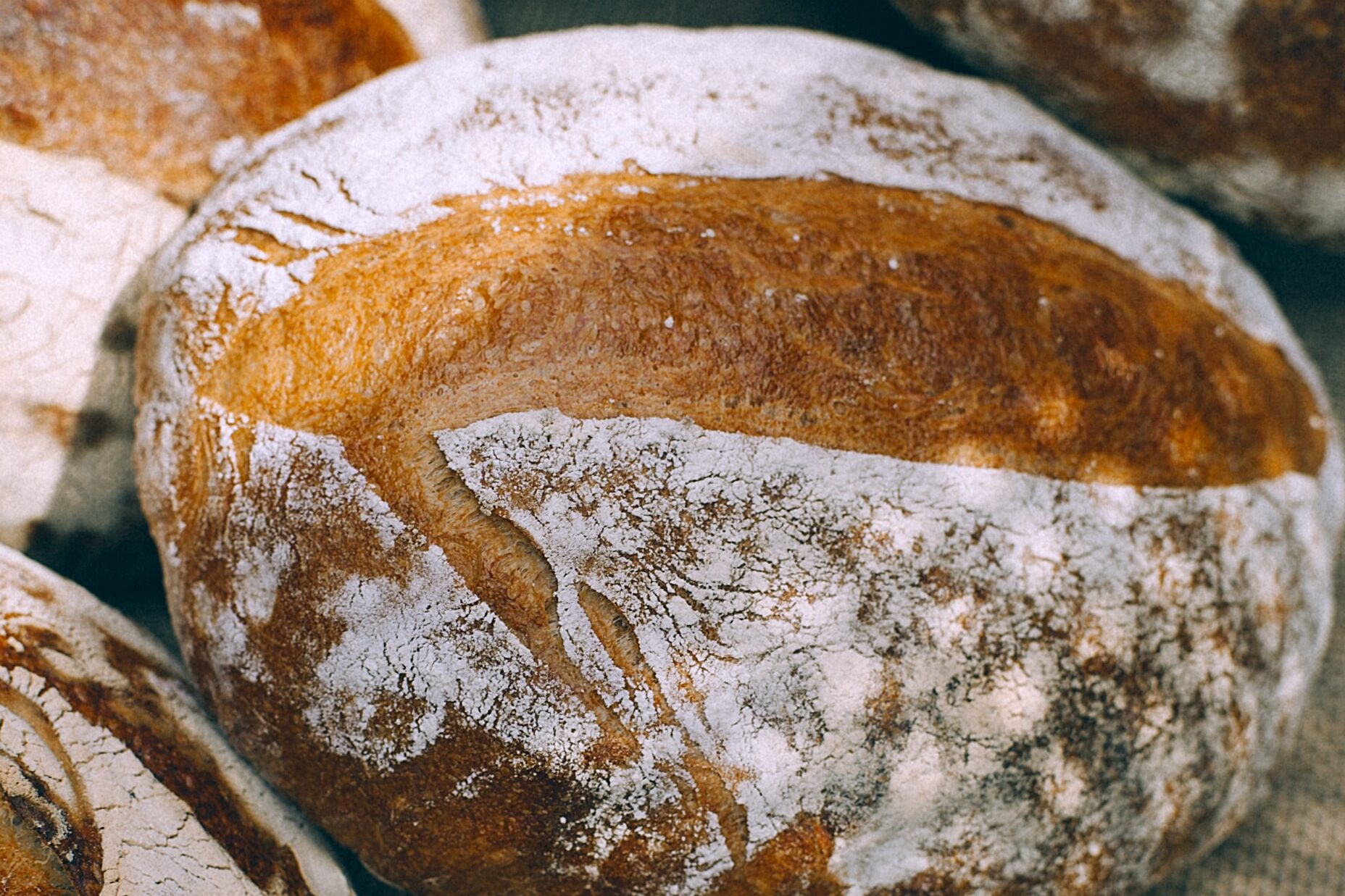 Krapfen Awards Infoprofile