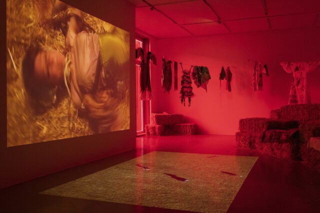 The Institute of Queer Ecology, Hysteria, 2023, Ausstellung, Klima Biennale 2026 Wien.