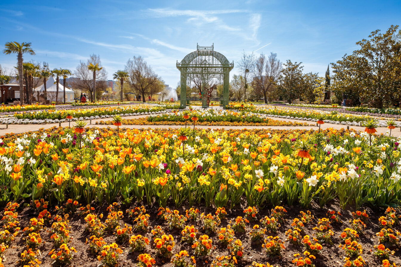 Location zum Heiraten in Wien: Blüten im Frühling in den Blumengärten Hirschstätten, 1220