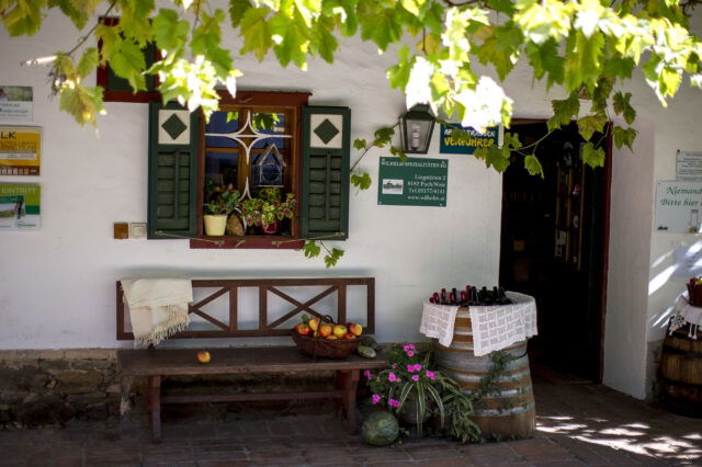 steirisches Bauernhaus: Obstbau Wilhelm an der steirischen Apfelstraße nahe Puch bei Weiz