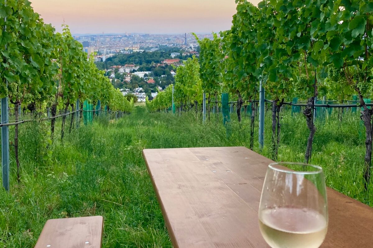 Buschenschank Windischbauer Wien