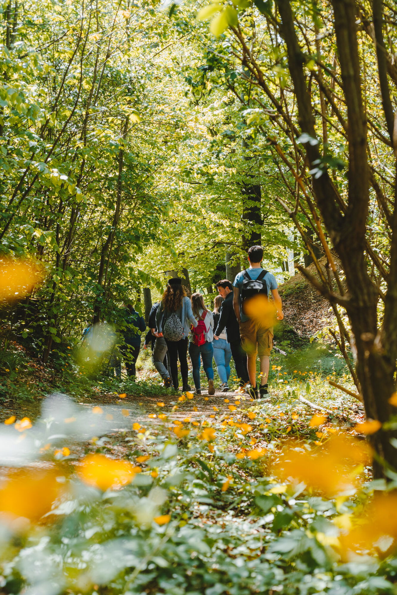 Menschen wandern durch den Wienerwald