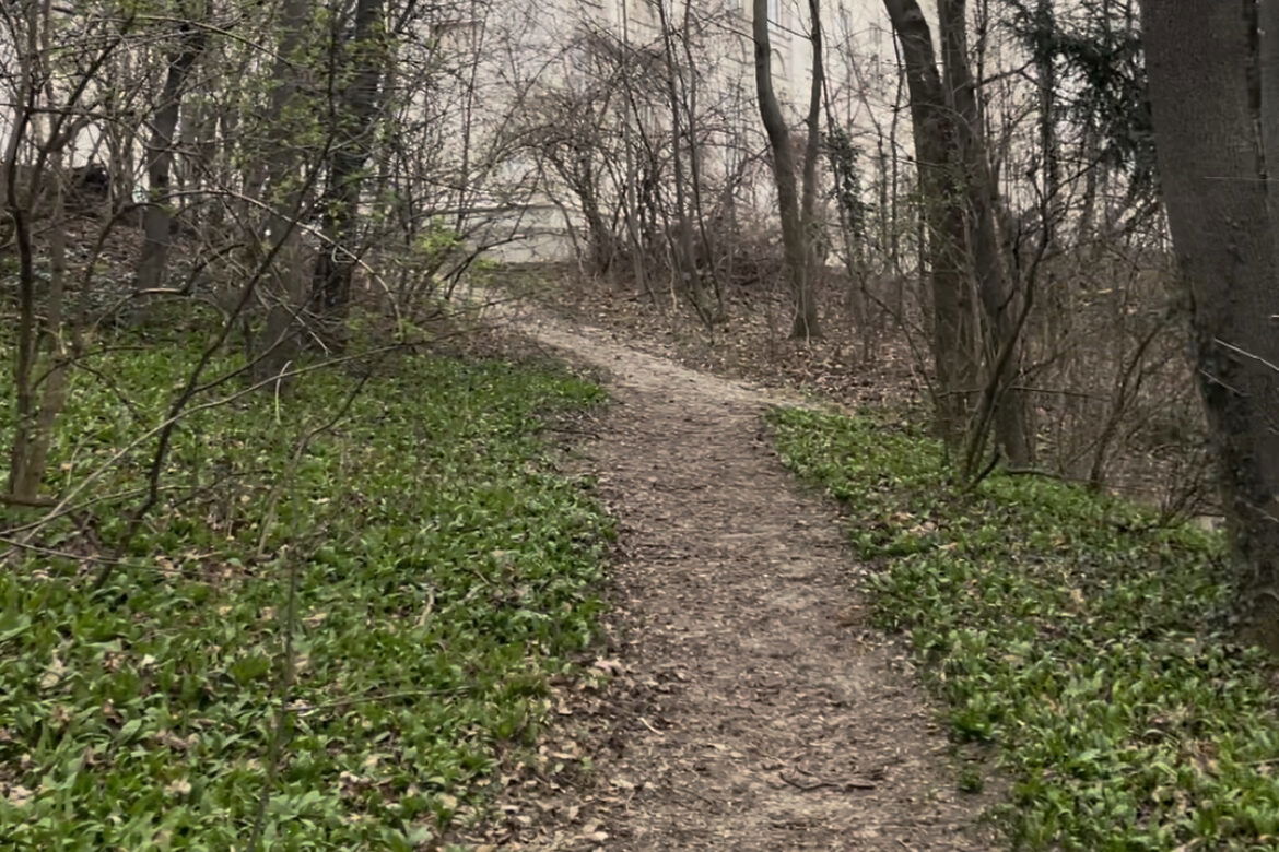 Bärlauch Pflücken in Wien: Das Schloss Wilhelminenberg im 16. Bezirk, 1060