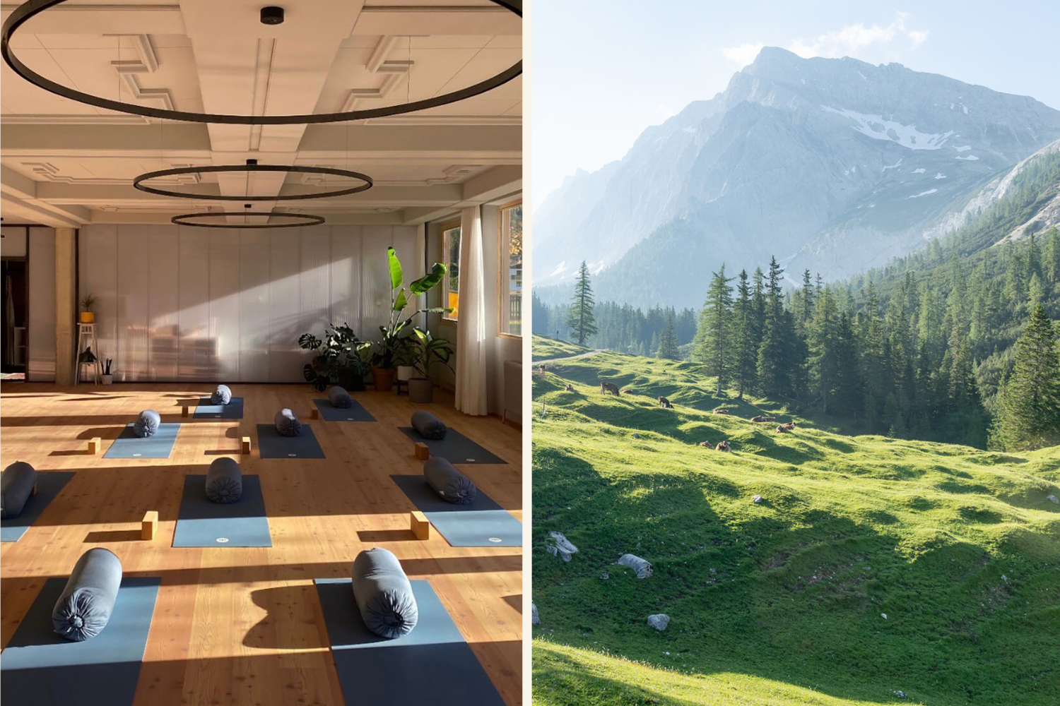 Collage von Marigold Hotel mit Yogaraum und Bergpanorama