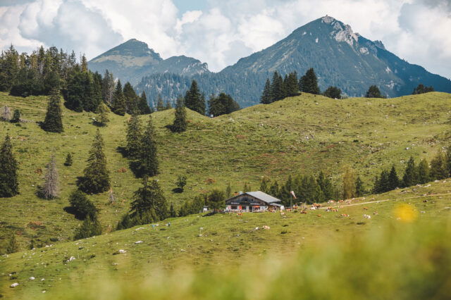 Kaisergebirge in Tirol (c) Mathäus Gartner