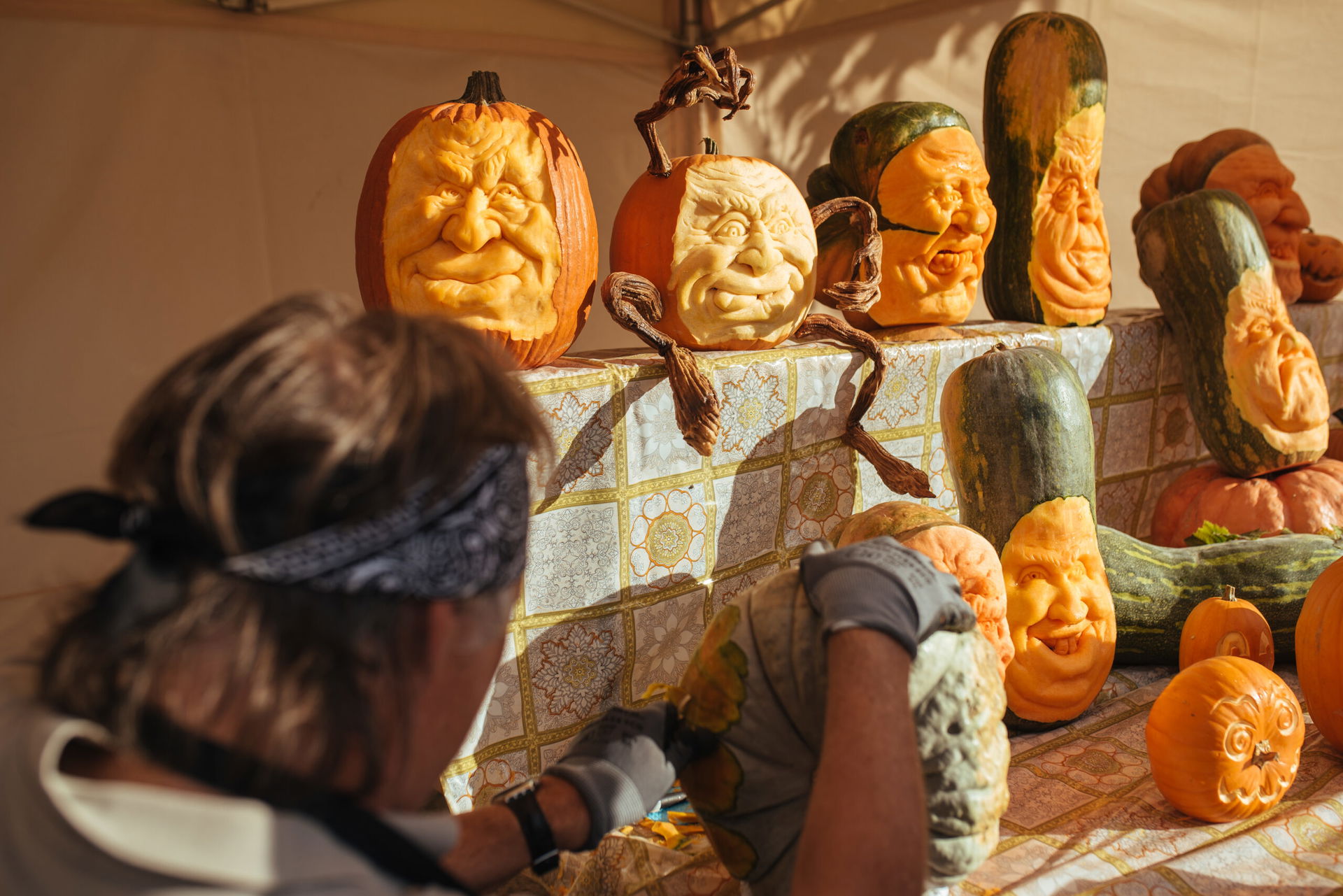 Kürbis schnitzen beim Herbstfest auf Schloss Hof