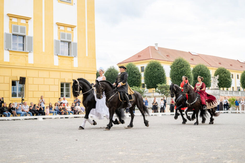 Pferdeshow auf Schloss Hof