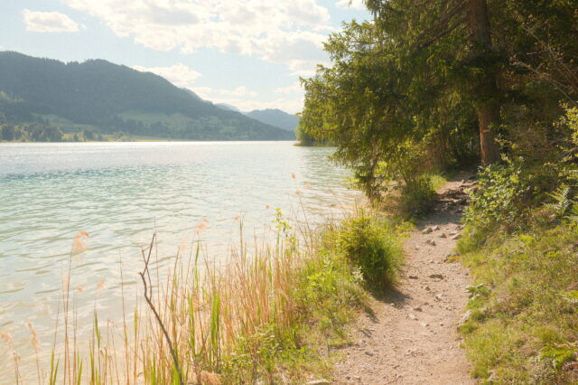 Weissensee Uferwanderung, Kärnten