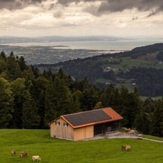 Vorarlberg