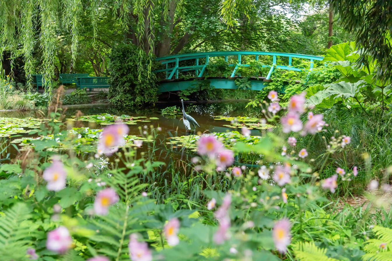 Ansicht vom Garten: Der Schulgarten Kagran, ein japanischer Garten in Wien