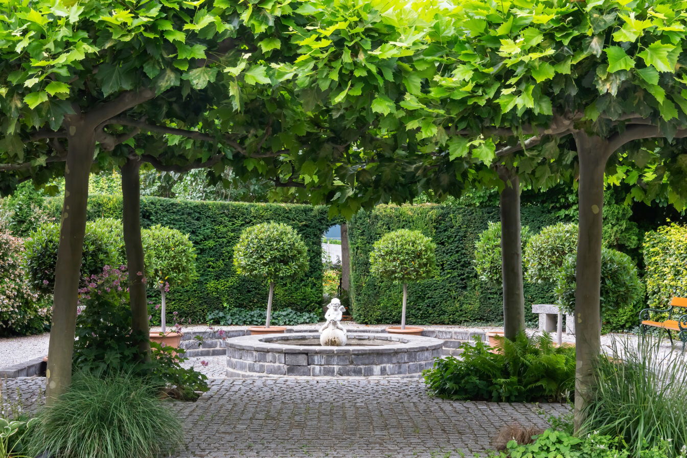 Bild vom Garten: Der Schulgarten Kagran hat ab Donnerstag, den 2. April, wieder für alle Besucher*innen geöffnet!