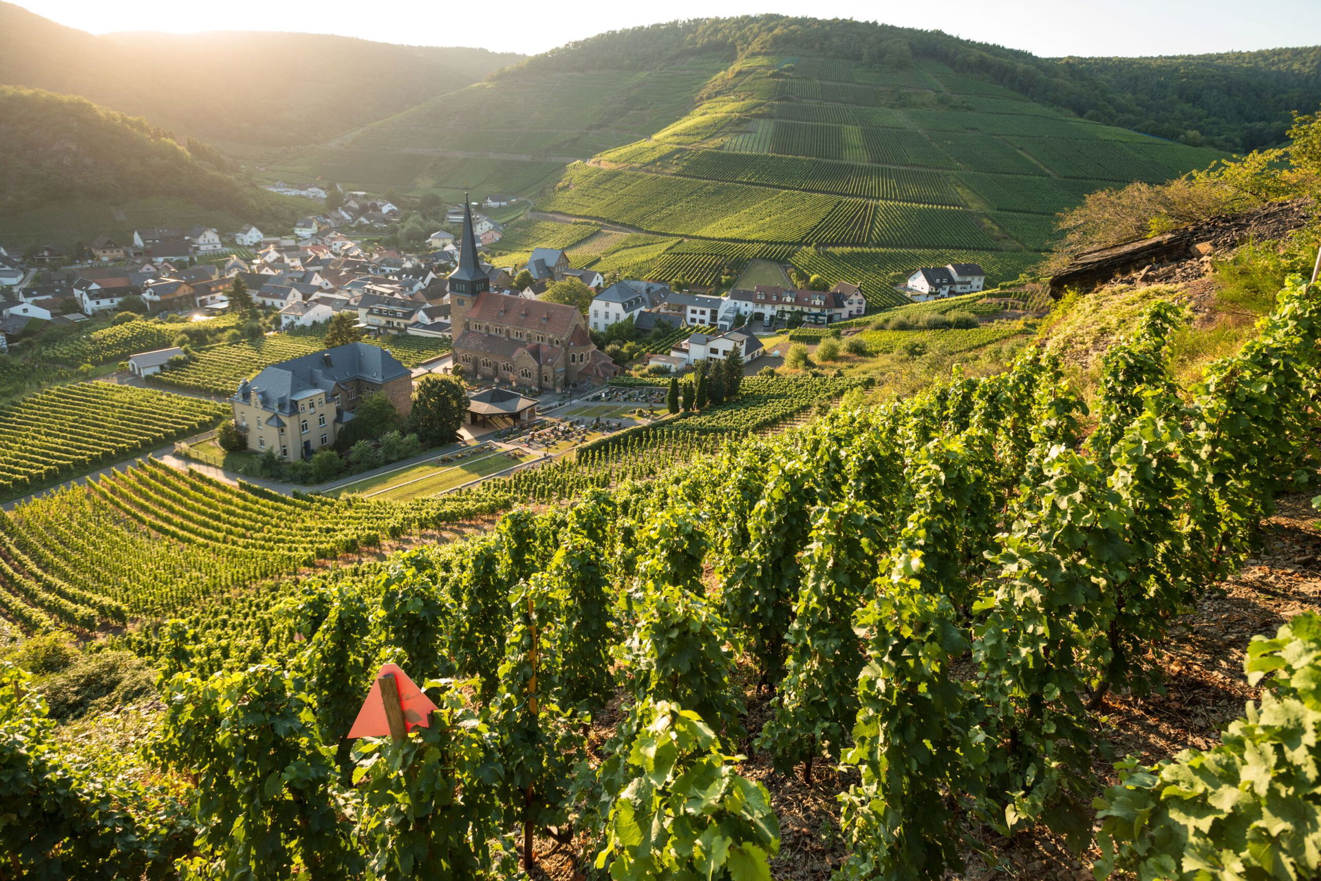 Aussicht auf Mayschoß am Rotweinwanderweg in Rheinland Pfalz
