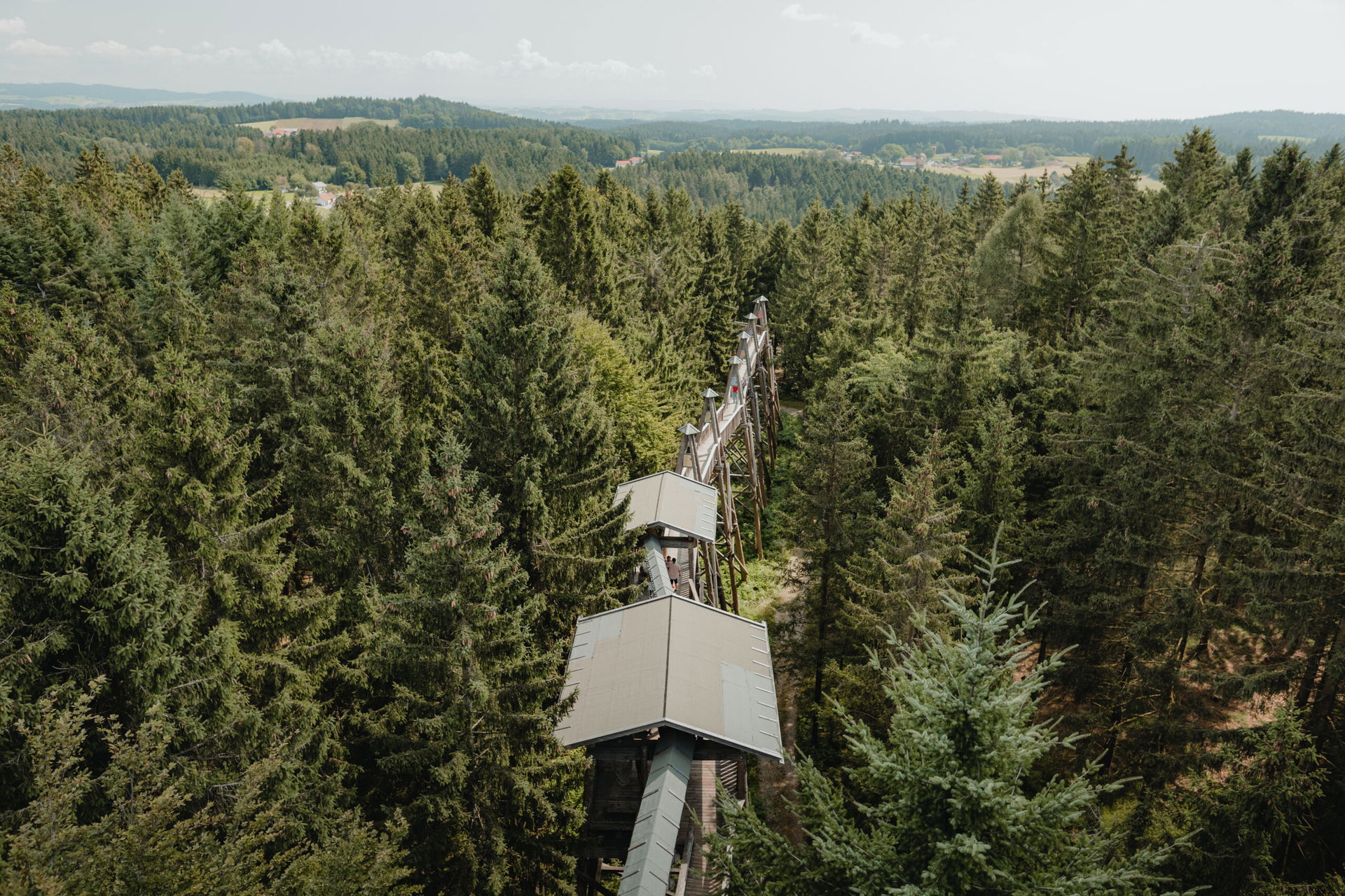 Aus der Vogelperspektive: ein Wald mit einem Baumkronenweg in Kopfing, auf der Radroute durch den Sauwald in Oberösterreich. 