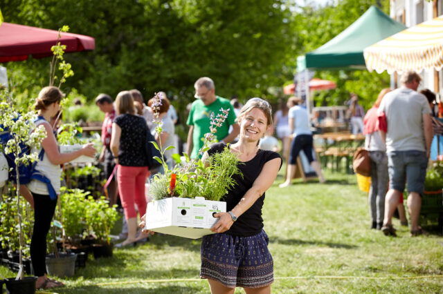 Arche Noah: Schaugarten und Pflanzenmarkt in Schiltern
