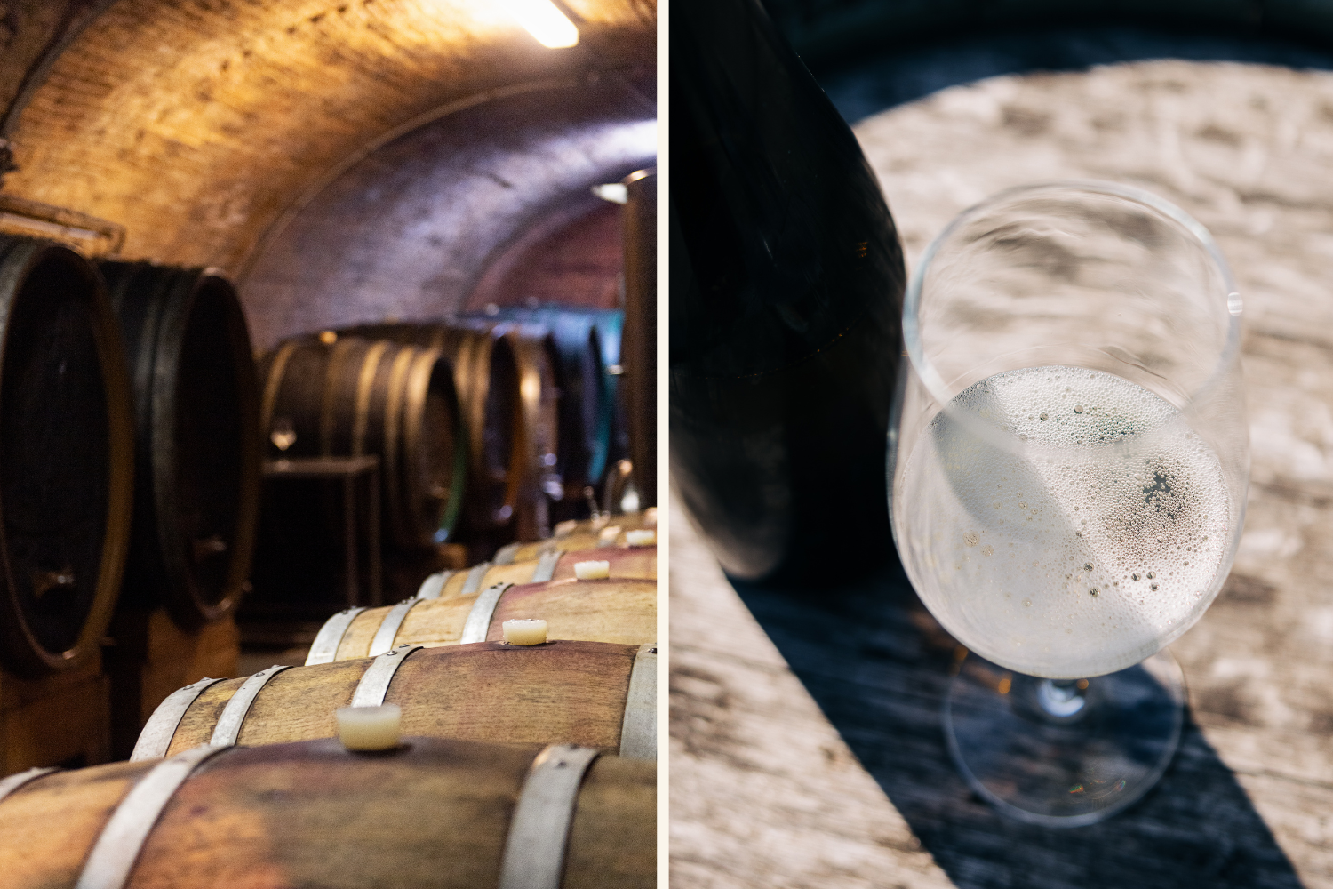 Wein mit Weinfässern