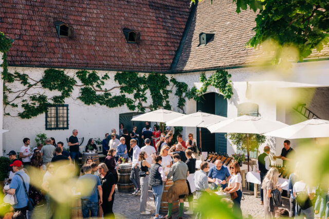 zahlreiche Menschen stehen im Innenhof eines Weinguts und verkosten bei der Tour de Vin Weine
