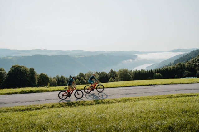 Zwei Personen fahren mit Fahrrädern auf einer Straße mit Blick auf die Donau, entlang der Sauwald Radrunde.